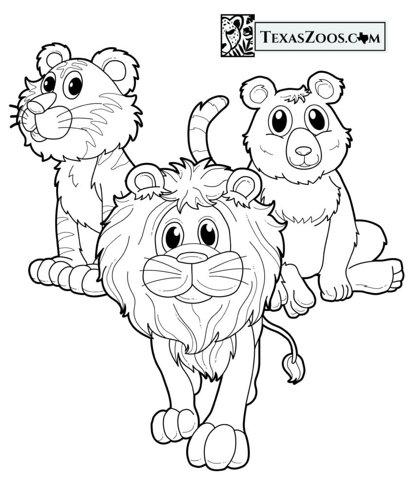Lions, Tigers, and Bears coloring page - TexasZoos.com